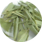 熊笹 粉砕前